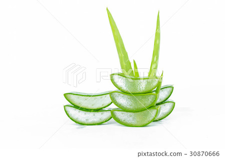 slice aloe vera fresh leaf isolated on white slice aloe vera fresh leaf isolated on white 30870666