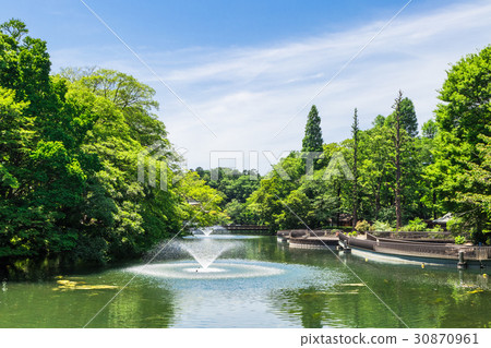 東京井之頭公園 30870961