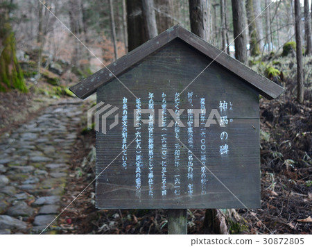 Takio Coado 30872805