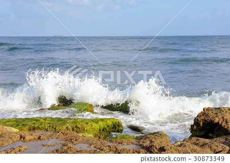 Mediterranean Coast of Israel 30873349