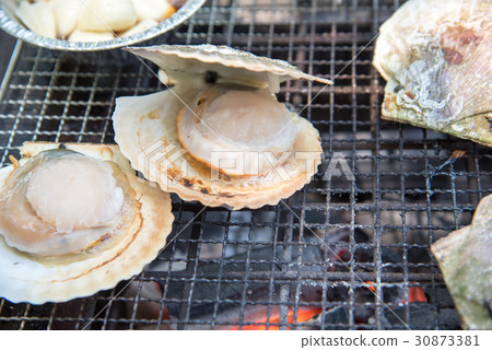 Scallop Scallop 30873381