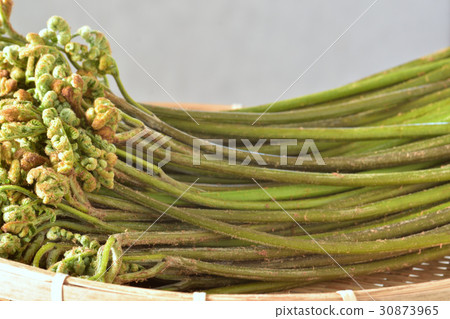 Raw warabi Raw warabi 30873965