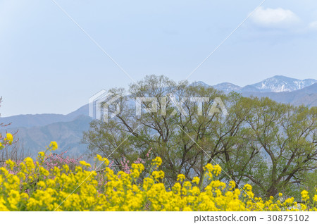 Landscape of the Chikumagawa Rapea 30875102