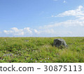 Scenery of the Kirigamine prairie 30875113