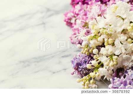 Lilac flowers on marble background. Copy space. 30878392