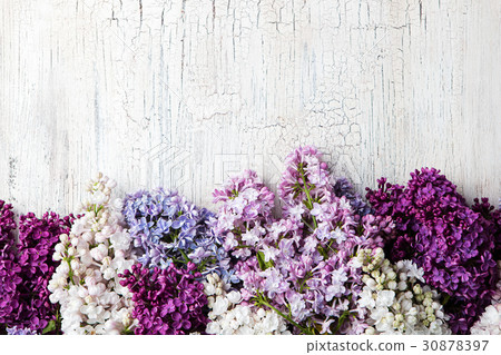 Bunch of lilac flowers Crackling effect background 30878397