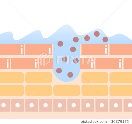 面部洗臉 30879175