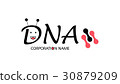 biotechnology dna logotype. Medicine, science 30879209