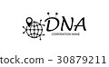 biotechnology dna logotype. Medicine, science 30879211