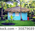 blue house 30879689