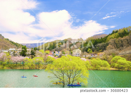 藤原湖的淹沒森林和獨木舟 藤原湖的淹沒森林和獨木舟 30880423