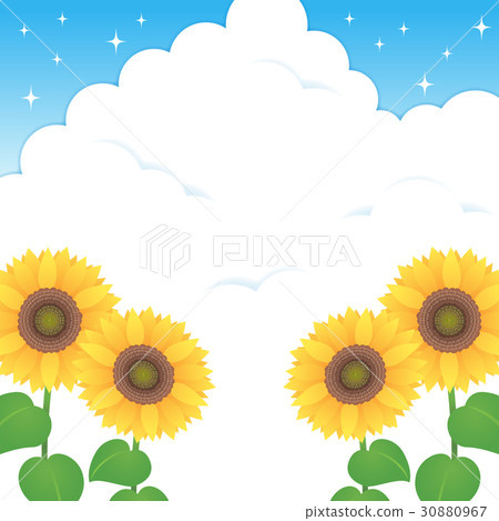 夏季藍天，雲層和向日葵（方形） 30880967