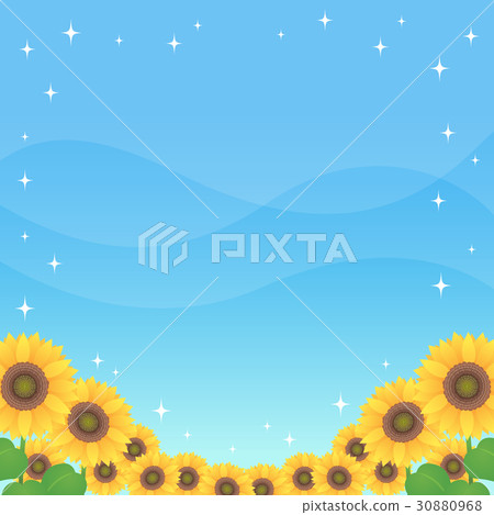 Blue sky and sunflower (square) Blue sky and sunflower (square) 30880968