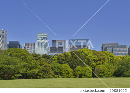 Forest and Otemachi 30881035