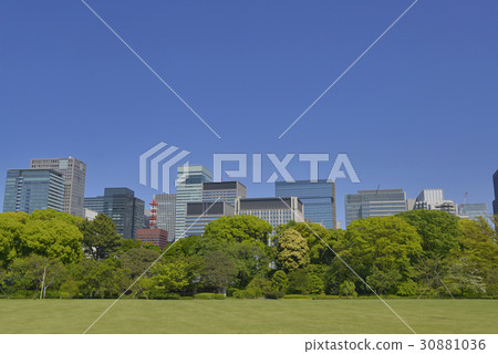 Forest and Otemachi 30881036