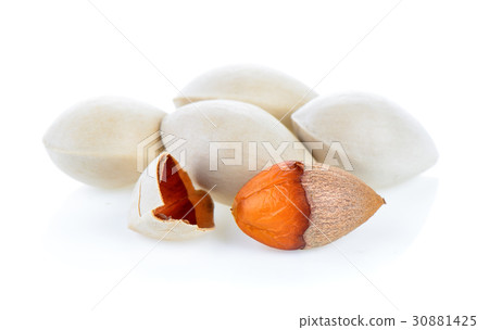 Ginkgo seeds on white background 30881425