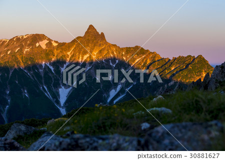 斯巴爾斯在早晨的陽光下染色 30881627