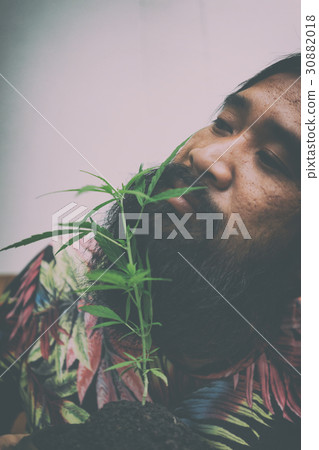 happy man with cannabis plant 30882018