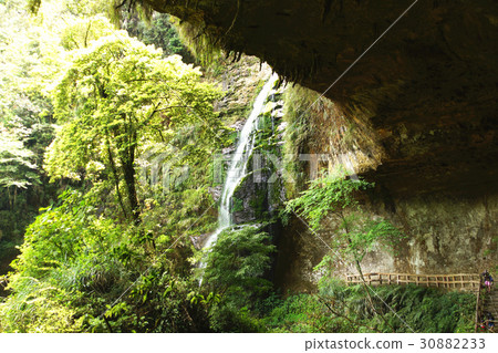 Songyanyan Songyanyan 30882233