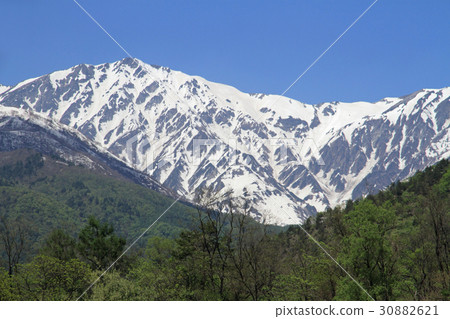 白馬山雪樣式在馬後的 白馬山雪樣式在馬後的 30882621