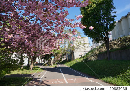 Shiroishi Cycling Road (Shiraishi Kokoro Nanzido 17 - chome South) Shiroishi Cycling Road (Shiraishi Kokoro Nanzido 17 - chome South) 30883086