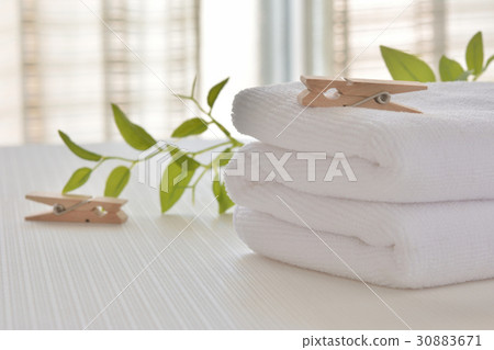 Towel clothespins 30883671