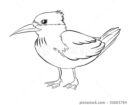 Doodle animal for bird Doodle animal for bird 30883784