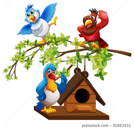 图库插图 three parrots flying around birdhouse