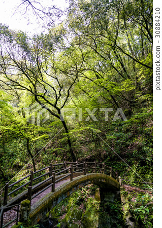Amaneiwa神社神橋 30884210