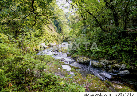 Ameiwado Shrine Gokase River Ameiwado Shrine Gokase River 30884319