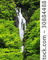 新鮮綠色2017-2 30884488