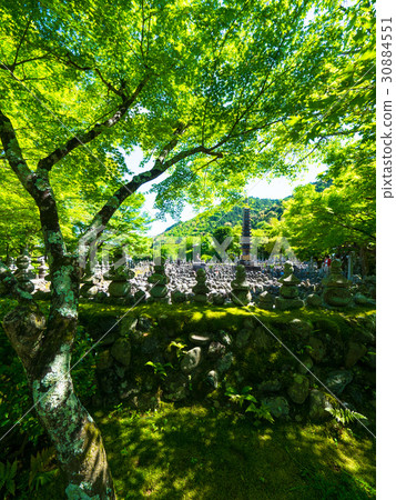 Fresh green and unrelated Buddha of Yueno Buddha temple 30884551