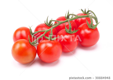 Midi Tomato  - 一堆（來自熊本縣） 30884948