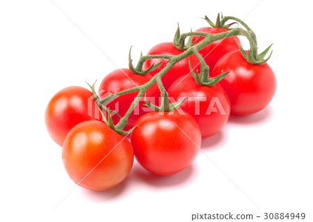 Midi Tomato  - 一堆（來自熊本縣） 30884949