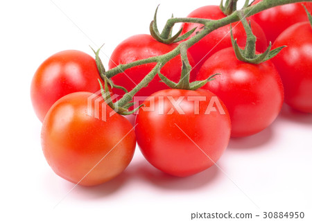 Midi Tomato  - 一堆（來自熊本縣） 30884950