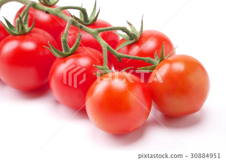 Midi Tomato  - 一堆（來自熊本縣） 30884951