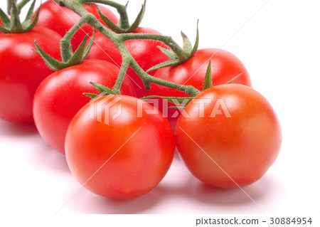 Midi Tomato  - 一堆（來自熊本縣） 30884954