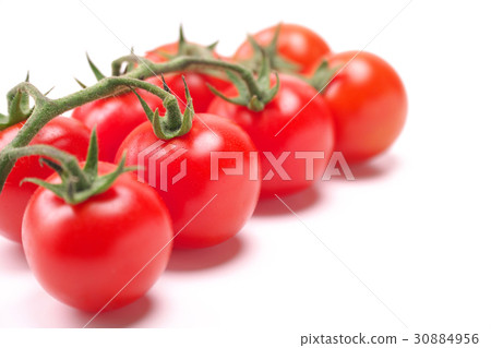 Midi Tomato - 一堆(來自熊本縣) Midi Tomato - 一堆(來自熊本縣) 30884956