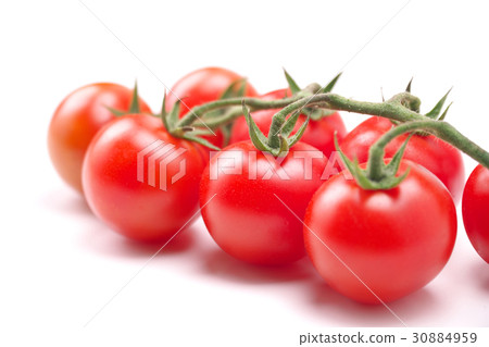 Midi Tomato  - 一堆（來自熊本縣） 30884959