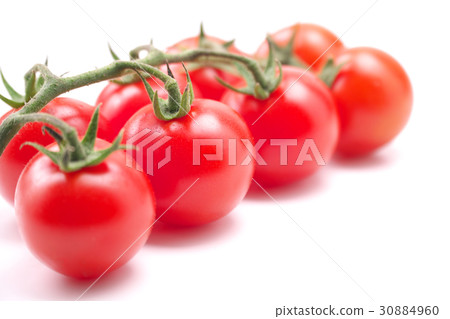 Midi Tomato  - 一堆（來自熊本縣） 30884960