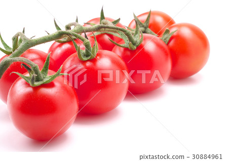 Midi Tomato  - 一堆（來自熊本縣） 30884961