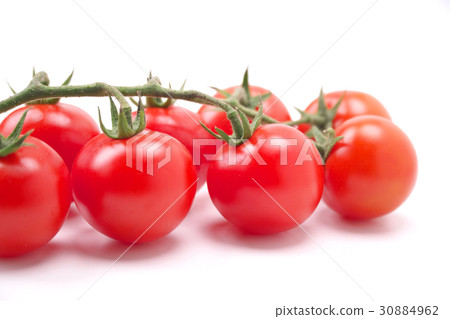 Midi Tomato  - 一堆（來自熊本縣） 30884962