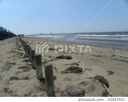 An inage coast where laurels planted as a reef were launched 30887601