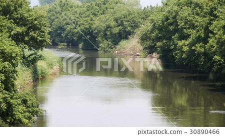 Watarase River 30890466