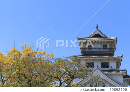 Imabari城堡Tenshi從東南方向看 30892506