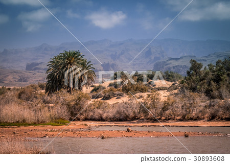 Gran Canaria landscape 30893608