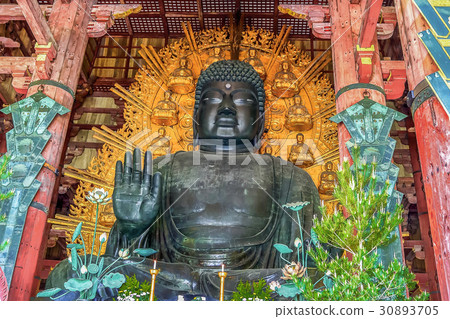 奈良的佛 30893705