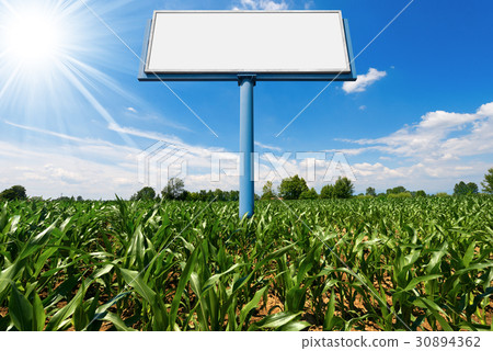 Empty Billboard in a Corn Field Empty Billboard in a Corn Field 30894362