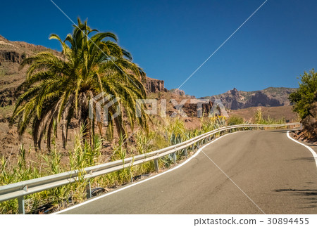Road through the stunning Gran Canaria landscape Road through the stunning Gran Canaria landscape 30894455
