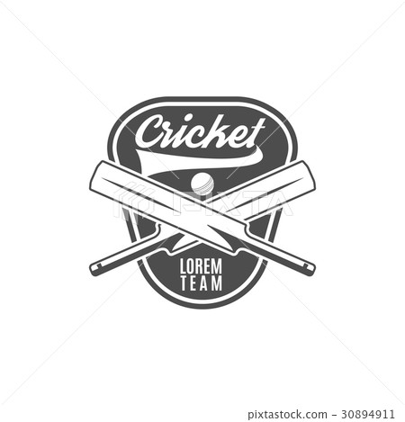 Cricket team emblem and design elements.  log 30894911